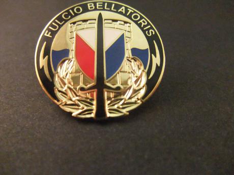 Fulcio Bellatoris 405th Army Field Support Brigade leger US